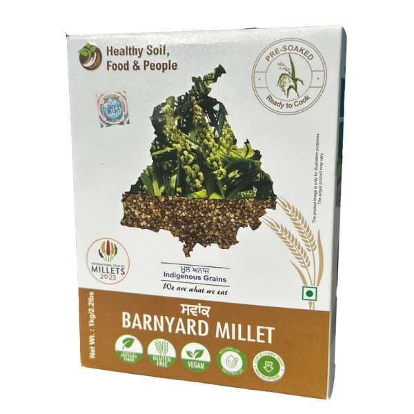 Barnyard Millet