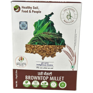 Browntop Millet