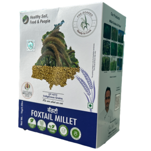 Foxtail Millet