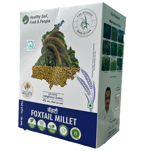 Foxtail Millet