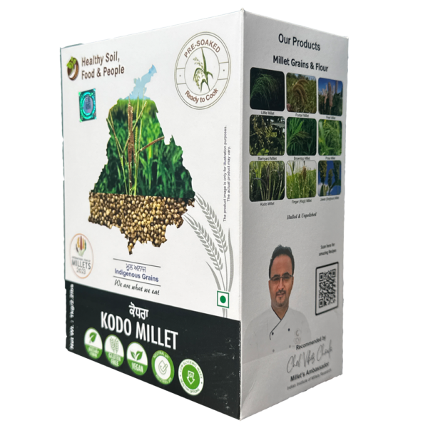 Kodo Millet