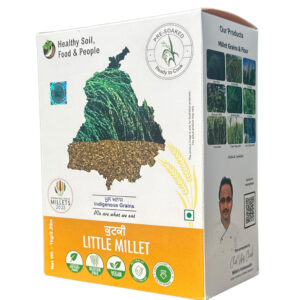 Little Millet
