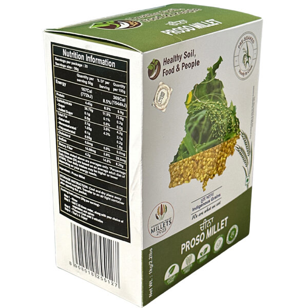 Proso Millet - Image 2