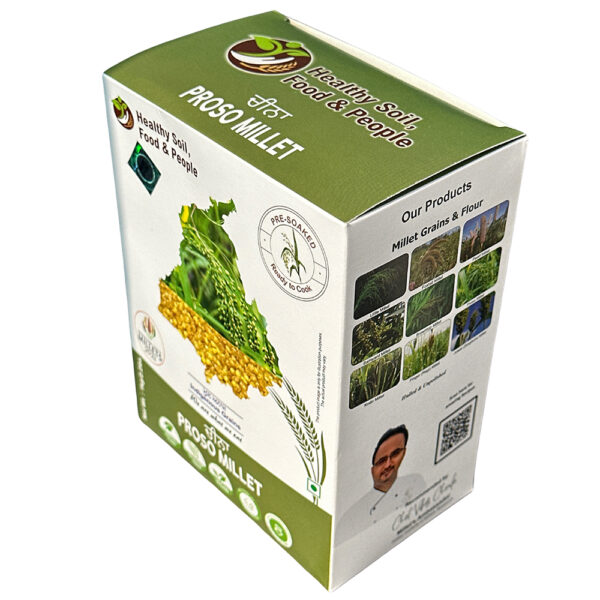 Proso Millet - Image 3